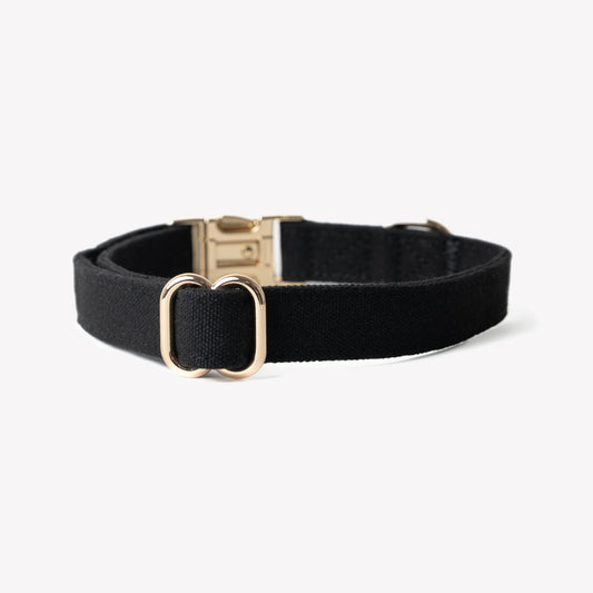 'Black' - Canvas Dog Collar | Purrfect Pet Kingdom