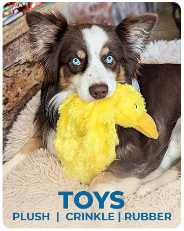 Best Pet Supplies Dog Toys For Small Medium And Large Breeds Cute No-Stuffed And Stuffed Duck With Soft Squeaky Fun For Indoor Puppies And Premium Puppies Plush No Mess Chewing And Playing | Purrfect Pet Kingdom