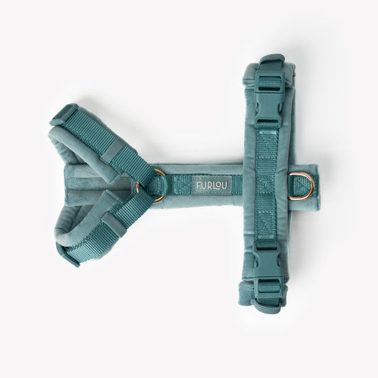 Blue - Velvet Dog Harness | Purrfect Pet Kingdom