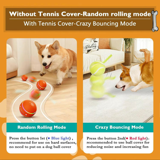 smartroll-pet-ball-luxury-view-2 | Majestic Pet Kingdom