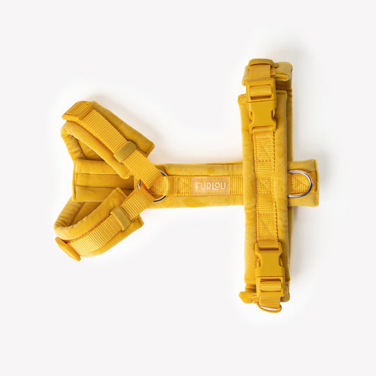 Yellow - Velvet Dog Harness | Purrfect Pet Kingdom