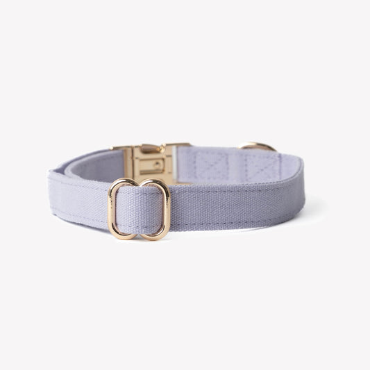 'Lavender' - Canvas Dog Collar | Purrfect Pet Kingdom