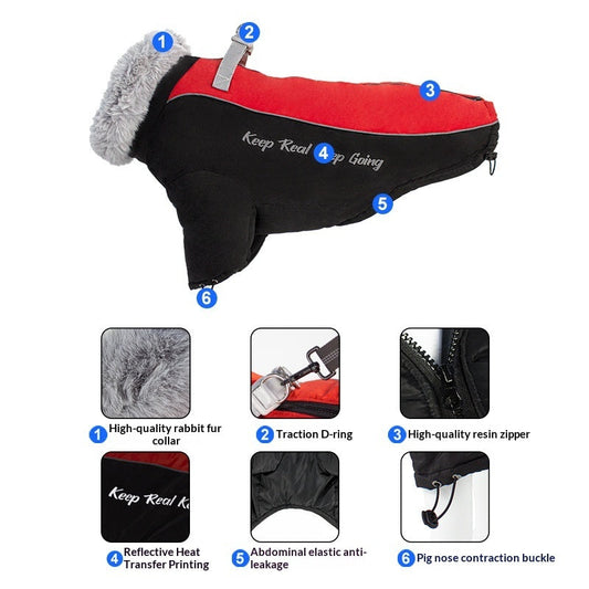 Pet Product - Premium Pet Accessory