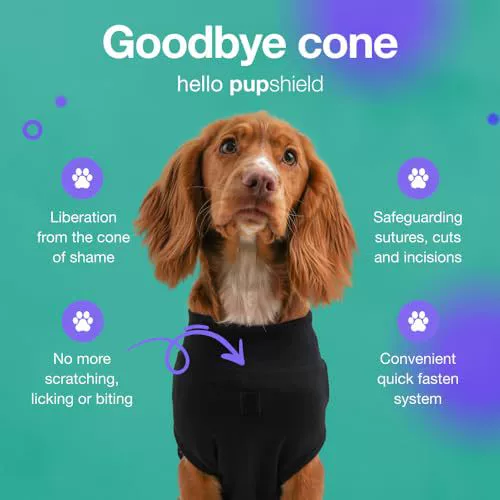 pet-sterilization-suit-wound-anti-licking-suit-suitable-all-body-types-of-dogs-surgical-recovery-clothing-set--luxury-view-2 | Majestic Pet Kingdom