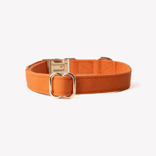 'Terracotta' - Canvas Dog Collar | Purrfect Pet Kingdom