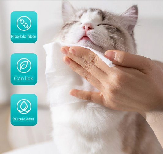 Pet Wet Wipes 100 Sheets for Cats and Dogs Eye Cleaning Tear Stain Wipes Extra Large and Thick Cat and Dog Supplies | Purrfect Pet Kingdom