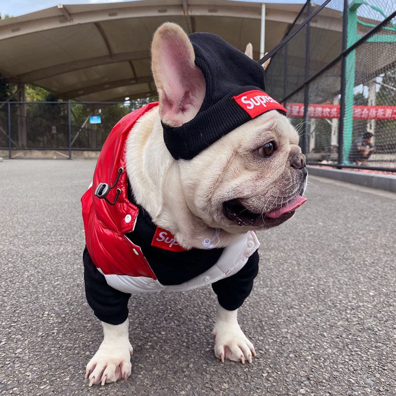 Pet Clothing Trendy Brand Street Dog Clothes Fighting Teddy