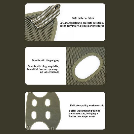 Pet Product - Premium Pet Accessory