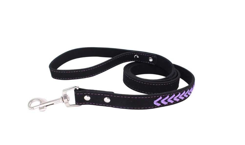 Stainless Steel Iron Dog Collar with Laser Lettering | Purrfect Pet Kingdom