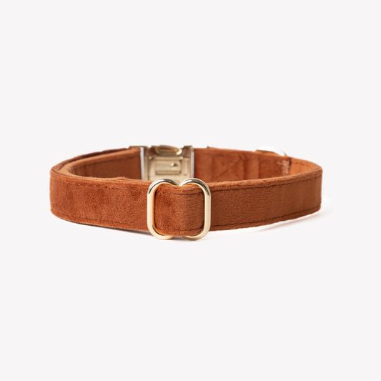 'Clay' - Velvet Dog Collar | Purrfect Pet Kingdom