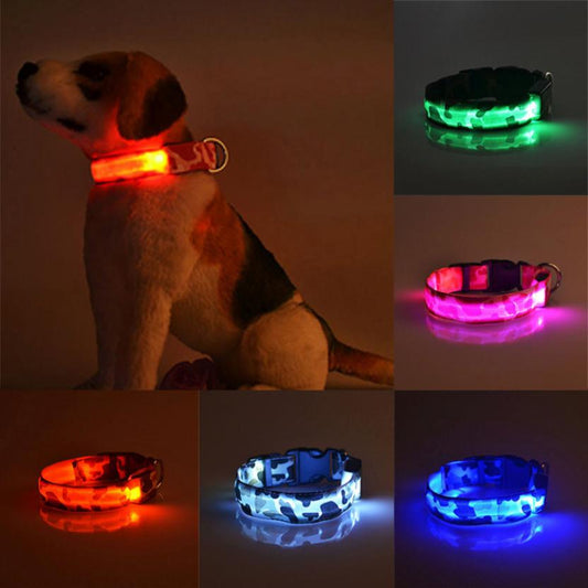 Dog Collar Camouflage LED Glowing Light-Up Night Safety Band - Main Feature View | Majestic Pet Kingdom