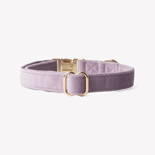'Lilac' - Velvet Dog Collar | Purrfect Pet Kingdom