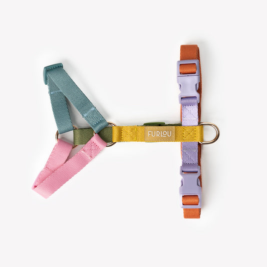 Rainbow - Dog Harness | Purrfect Pet Kingdom