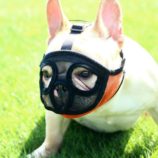 Luxury Pet Essentials - Purrfect Pet Kingdom™