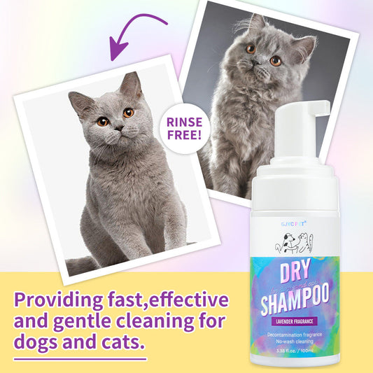 Cat Dry Shampoo Bubbles Pet No-Rinse Deodorizing and Fragrant Teddy No-Wash - Detail Angle 2 | Majestic Pet Kingdom