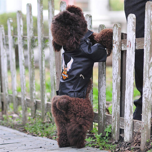 Pet Small Dog Sticker Embroidered Eagle Leather Jacket - Majestic Pet Kingdom