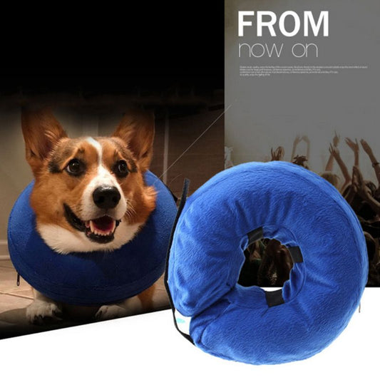 Luxury Pet Essentials - Purrfect Pet Kingdom™