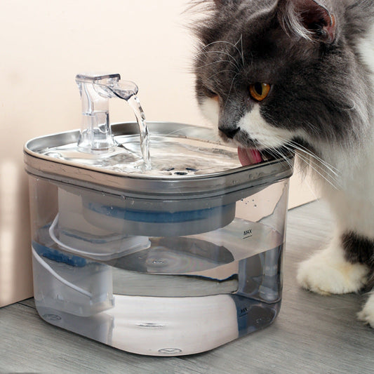 Pet Product - Premium Pet Accessory