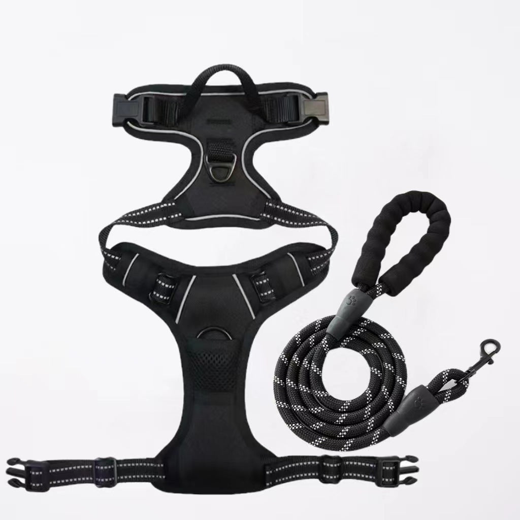 Dog Leash Heavy Duty Nylon Walking Lead with Padded Handle - Detail Angle 7 | Majestic Pet Kingdom