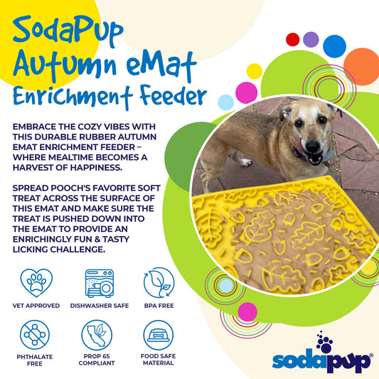 Pet Supply Product | The Finest Market