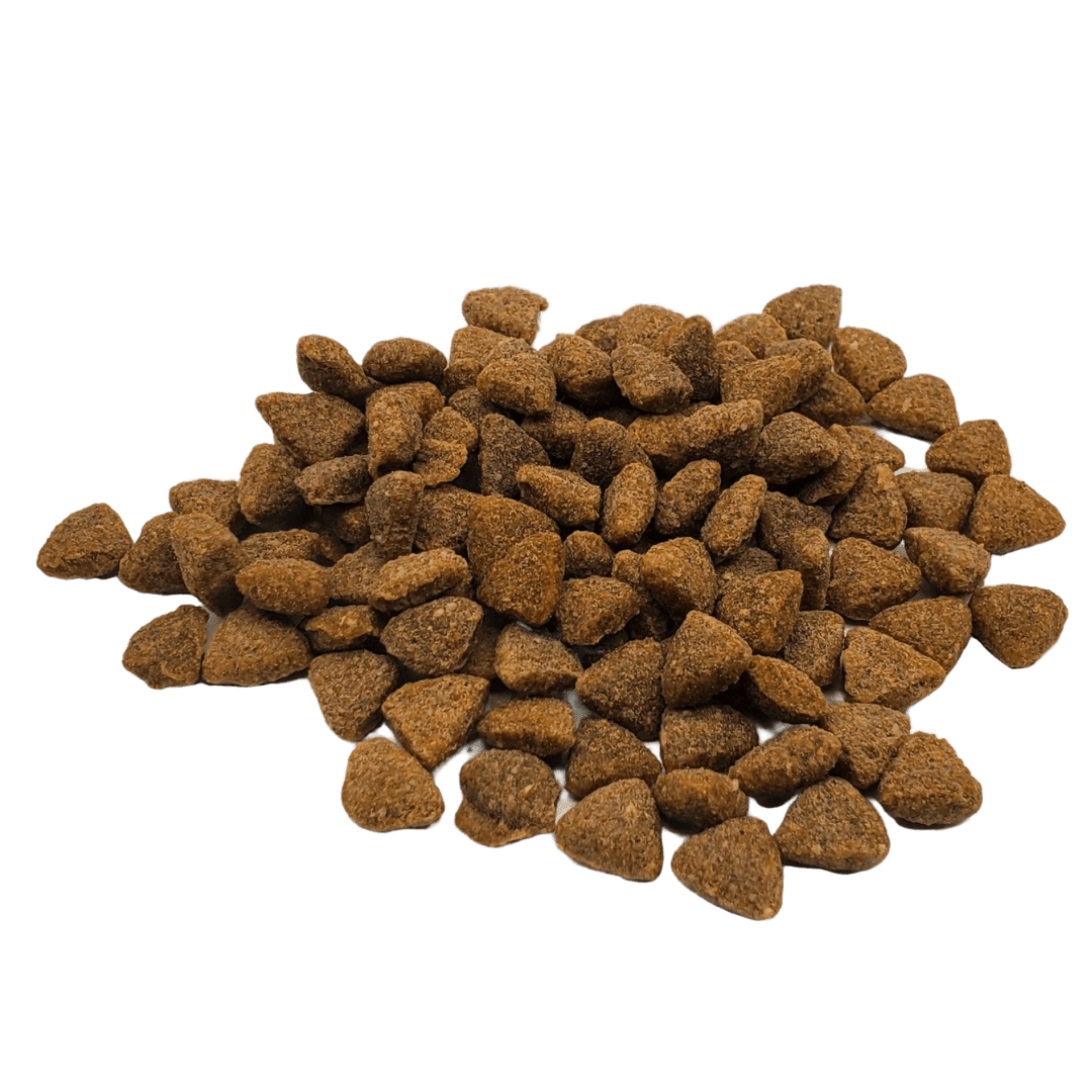 Cat Food RAWZ Salmon Dehydrated Chicken Whitefish Dry Bag