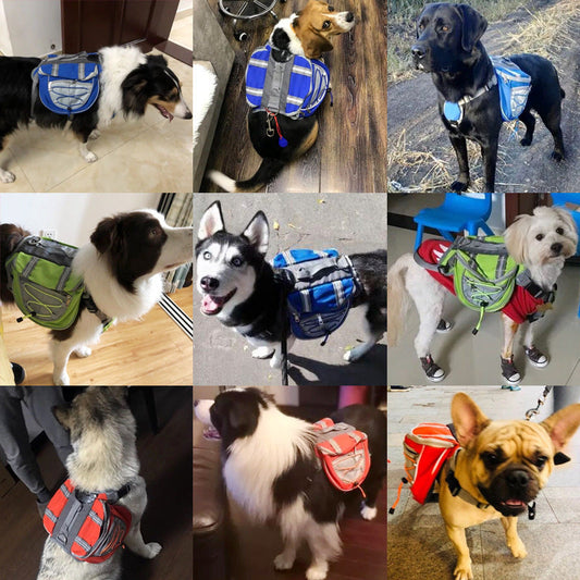 Dog Backpack Harness Cute Cartoon Snack Bag with Leash Lead