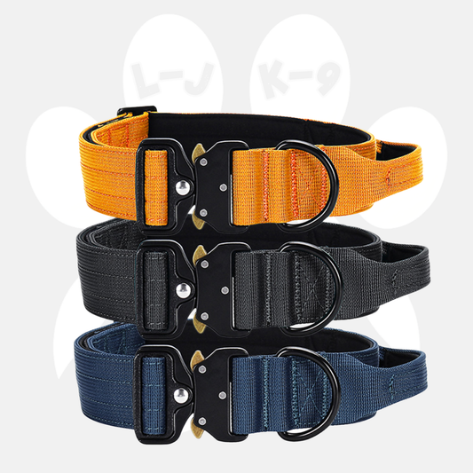 Sleek-Lux Padded Dog Collar | Purrfect Pet Kingdom