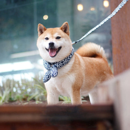 Luxury Pet Essentials - Purrfect Pet Kingdom™