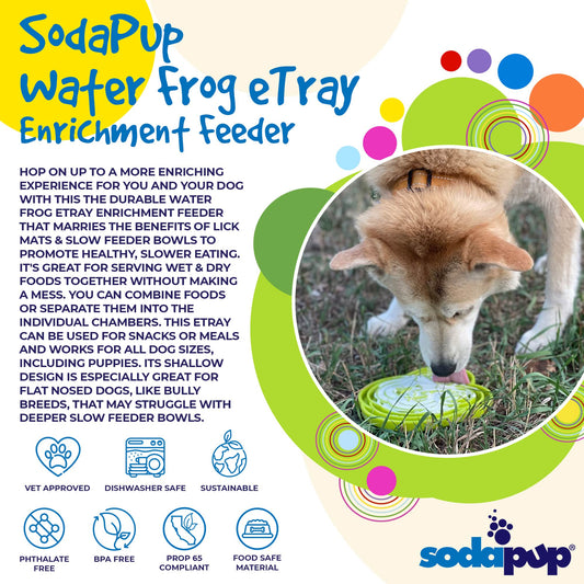 Dog Bowl Water Frog eTray Shallow Slow Feeder Pet Food Dish - Detail Angle 2 | Majestic Pet Kingdom