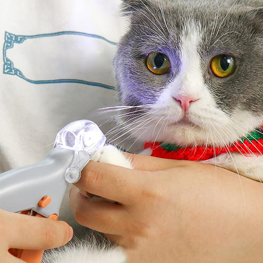 Professional LED - lit pet nail clippers for cats and dogs. Toe - claw cutting tool, pet supplies. - Detail Angle 2 | Majestic Pet Kingdom