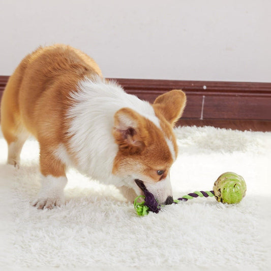 Ball Knot Dog Toys, Interactive Puppy Toys For Tug-of-war, Eco-friendly Cotton Rope Toys, Medium And Small-sized Dog Breeds, Not Suitable For Dogs With Strong Aggressive Chewing | Purrfect Pet Kingdom