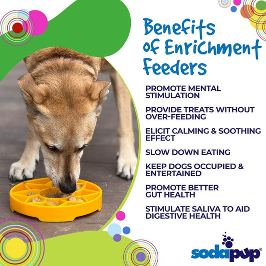Sunflower eTray Shallow Slow Feeder Dog Bowl for Enrichment - Majestic Pet Kingdom