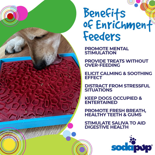 Pet Supply Product | The Finest Market