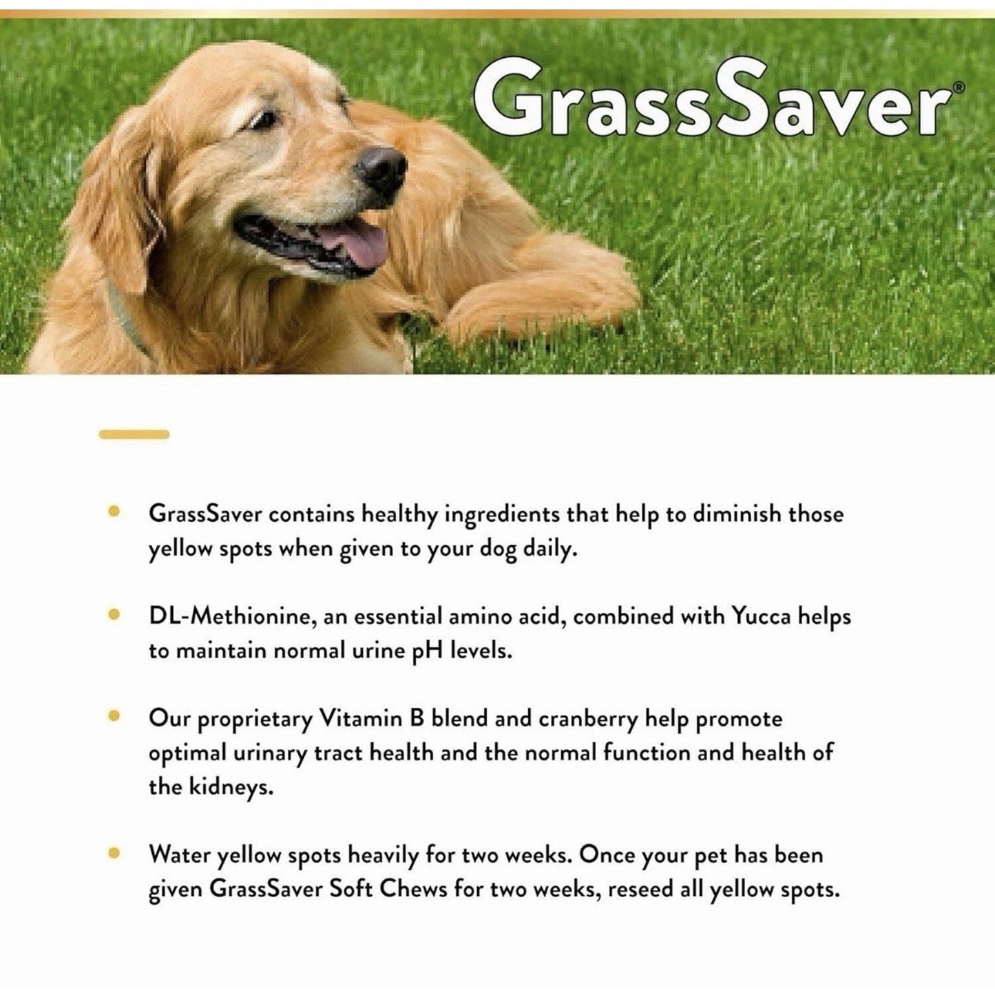 Dog Urine Neutralizer NaturVet GrassSaver Chews 120ct Case of 12 - Detail Angle 7 | Majestic Pet Kingdom