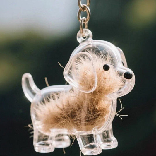 A transparent DIY pet hair memorial keychain box, a sweet keepsake for dog lovers. - Detail Angle 2 | Majestic Pet Kingdom