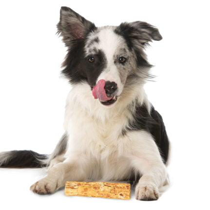 Dog Chews Nothin To Hide Salmon Small Chewing Rolls 5in