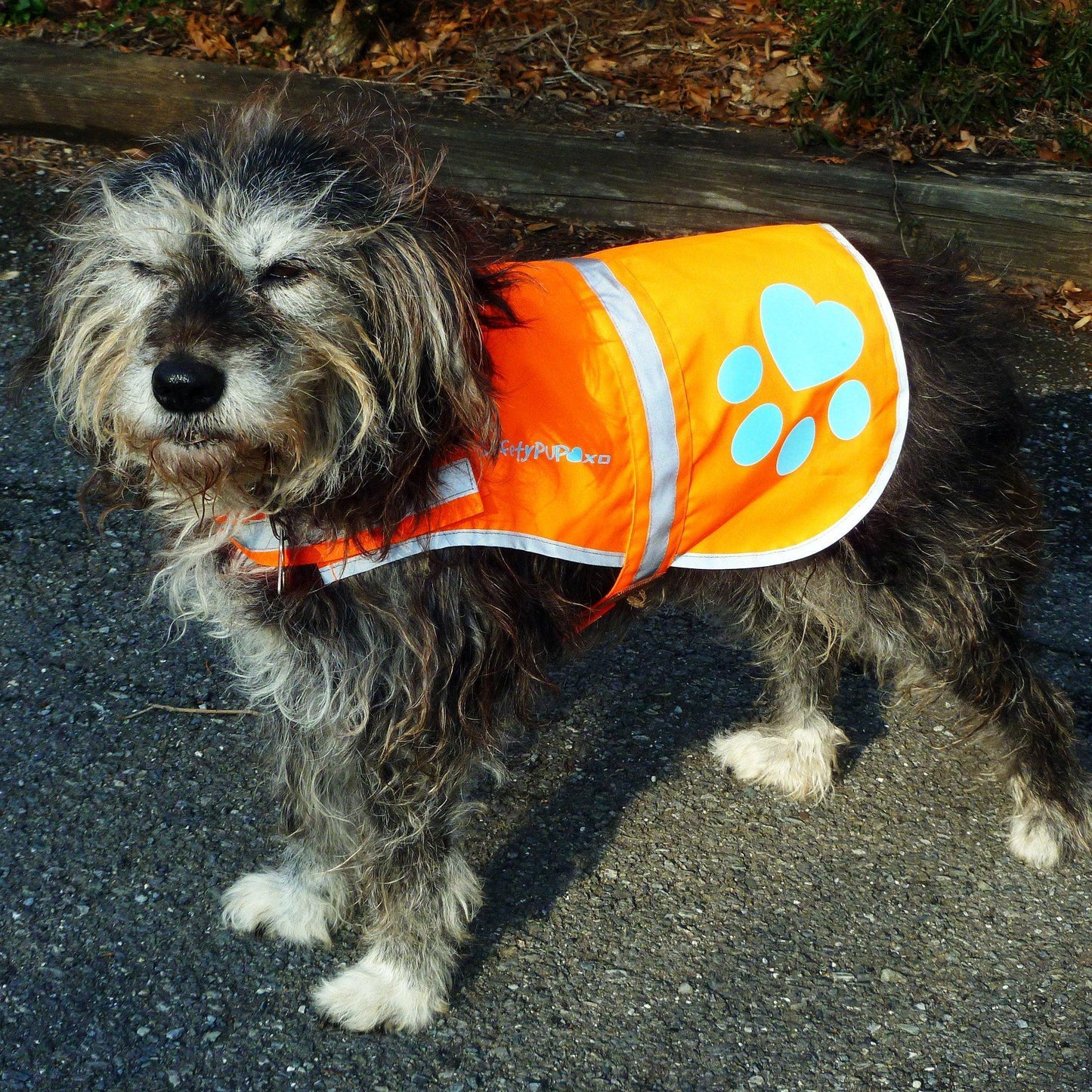 Dog Safety Vest Reflective Hi-Vis Orange Small 27.5in Chest - Detail Angle 2 | Majestic Pet Kingdom