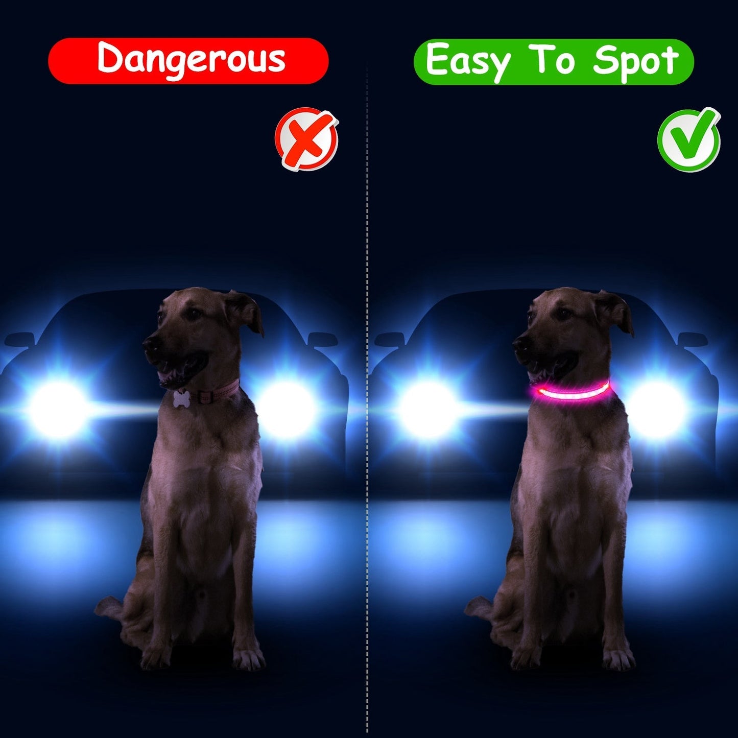 Dog Collar LED Glowing Light-Up 9-Color IPX7 Waterproof Strap - Detail Angle 7 | Majestic Pet Kingdom