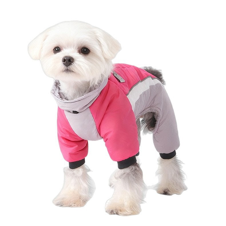 Pet Product - Premium Pet Accessory