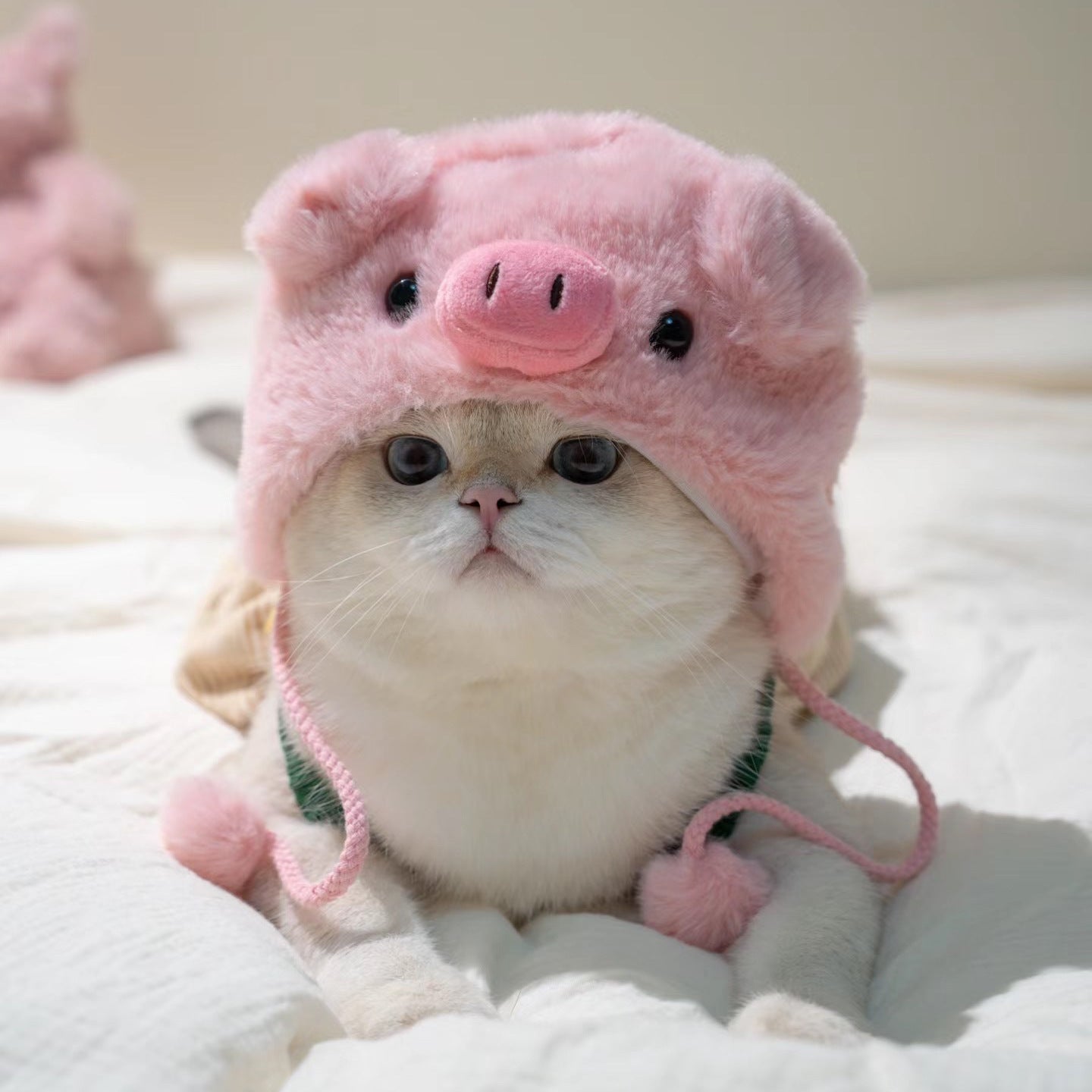Cute Casual Winter Pet Hooded Hat