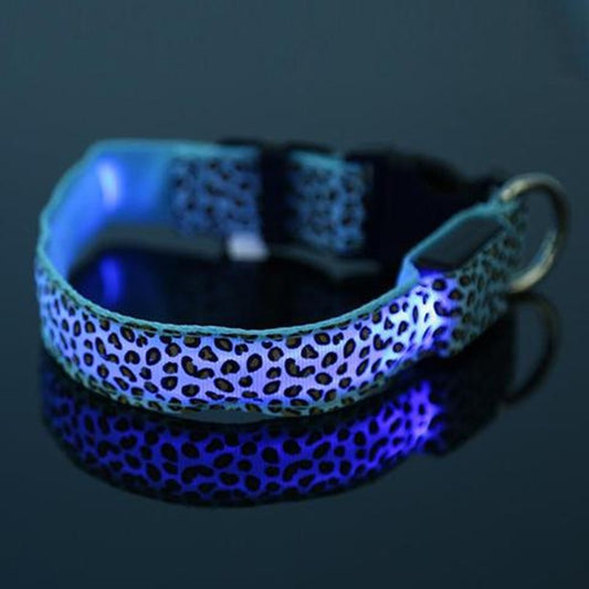 Quality Everyday Essential Product Item - Premium Choice