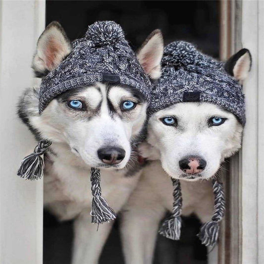 dog-hat-autumn-winter-warm-woolen-knitted-beanie-headwear-luxury-view-2 | Majestic Pet Kingdom