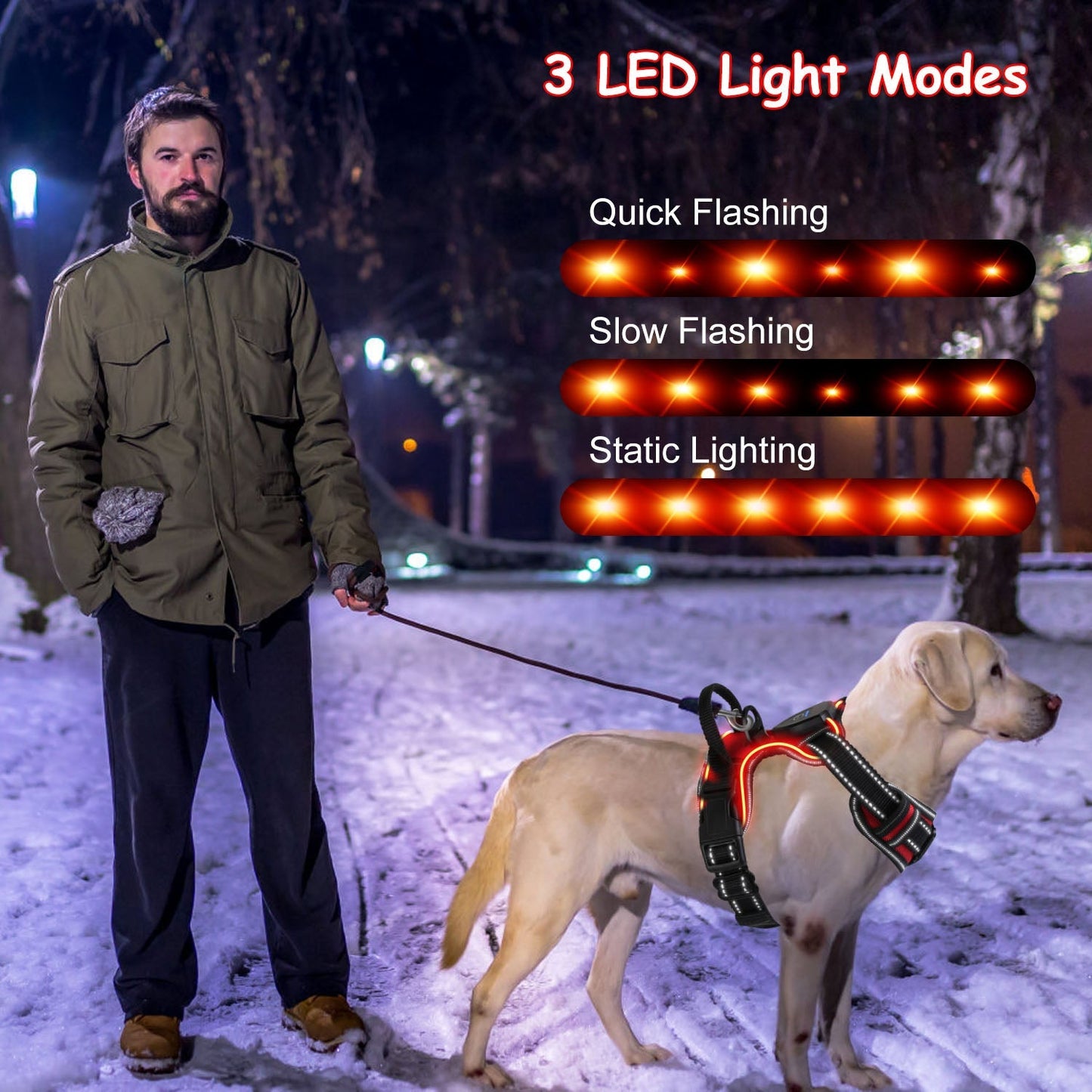 Light Up Dog Harness Rechargeable LED Dog Harness No Pull Lighted Dog Vest with Handle for Small/Medium/Large Dogs | Purrfect Pet Kingdom