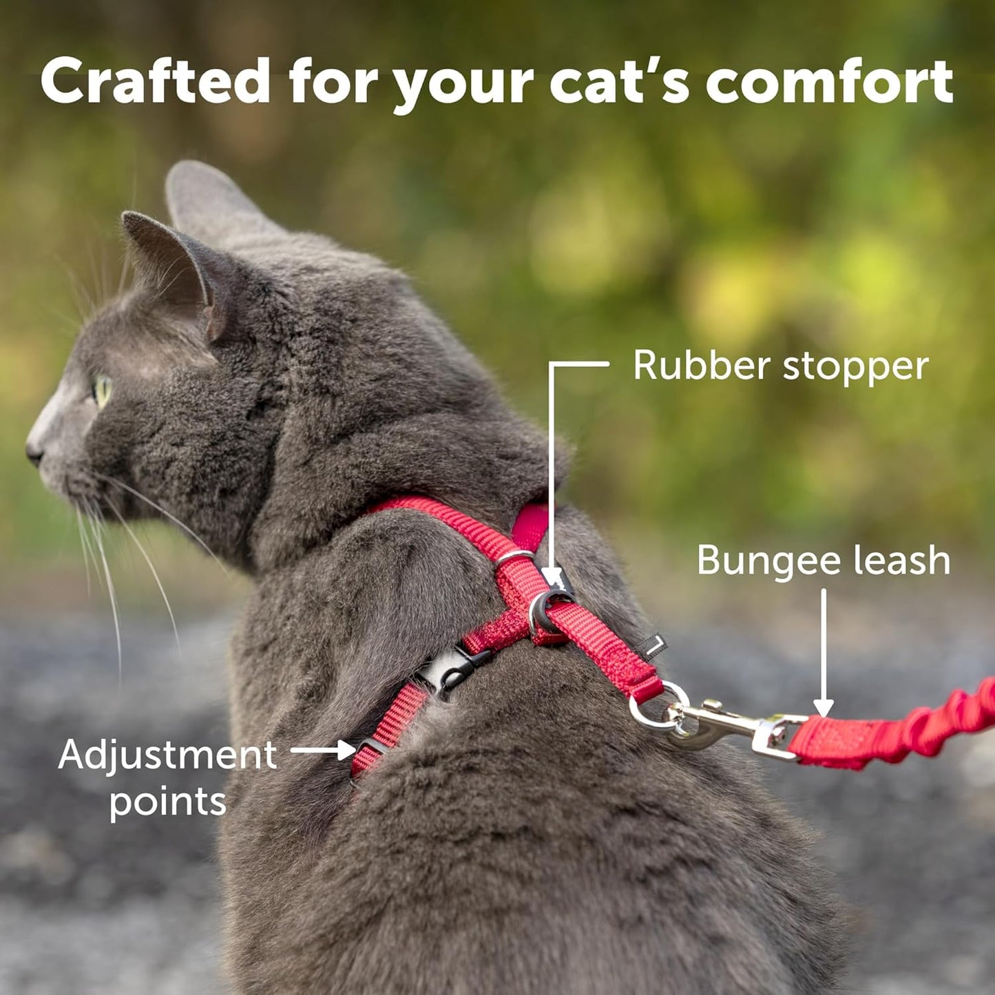 Cat Harness and Leash Set Come With Me Kitty Bungee Black Lg