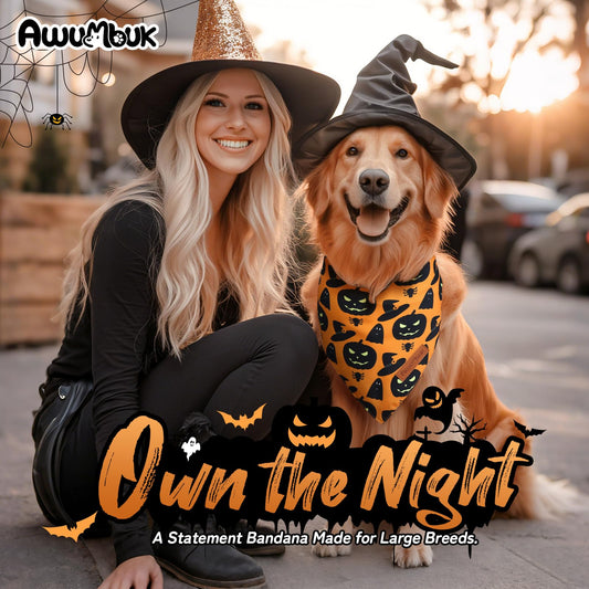 Awumbuk Halloween Dog Bandanas 2 Pack Reversible Pumpkin Spider Web Black - Detail Angle 2 | Majestic Pet Kingdom