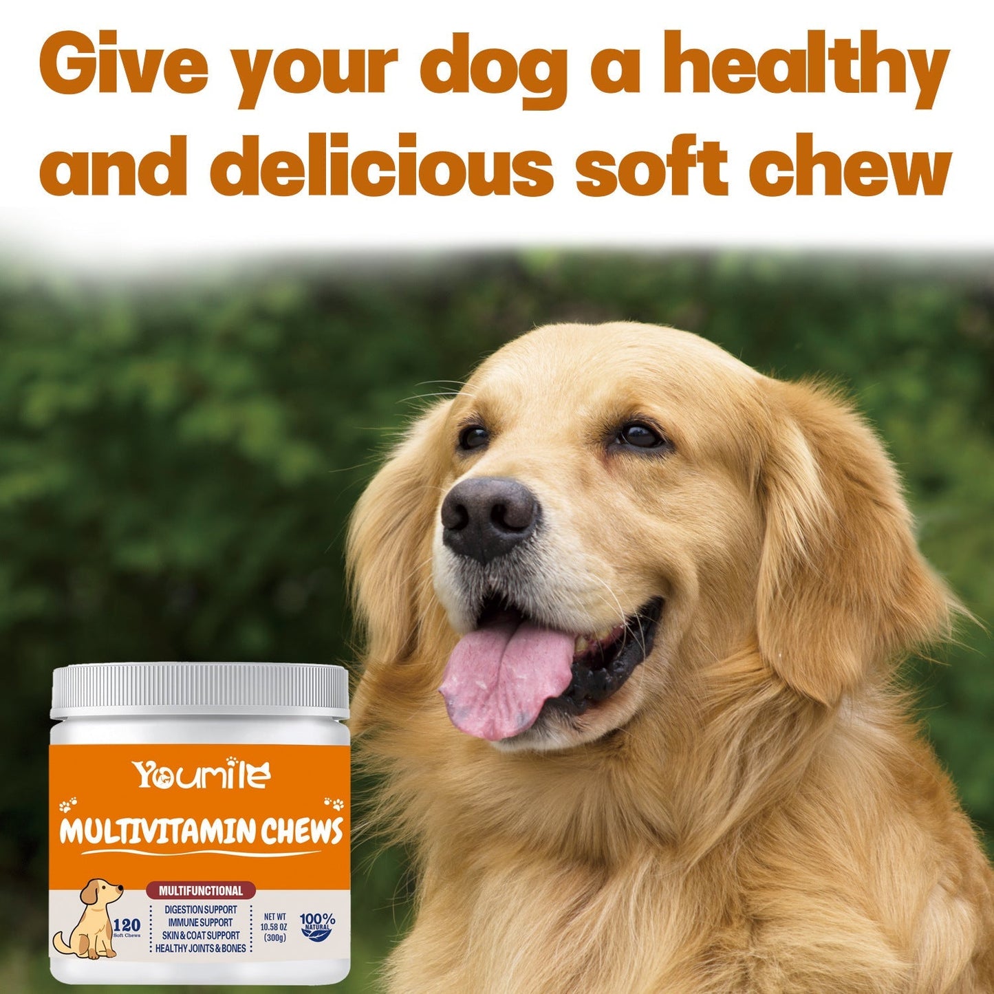 Dog Multivitamin Daily Immune Health Support Soft Chews 120c