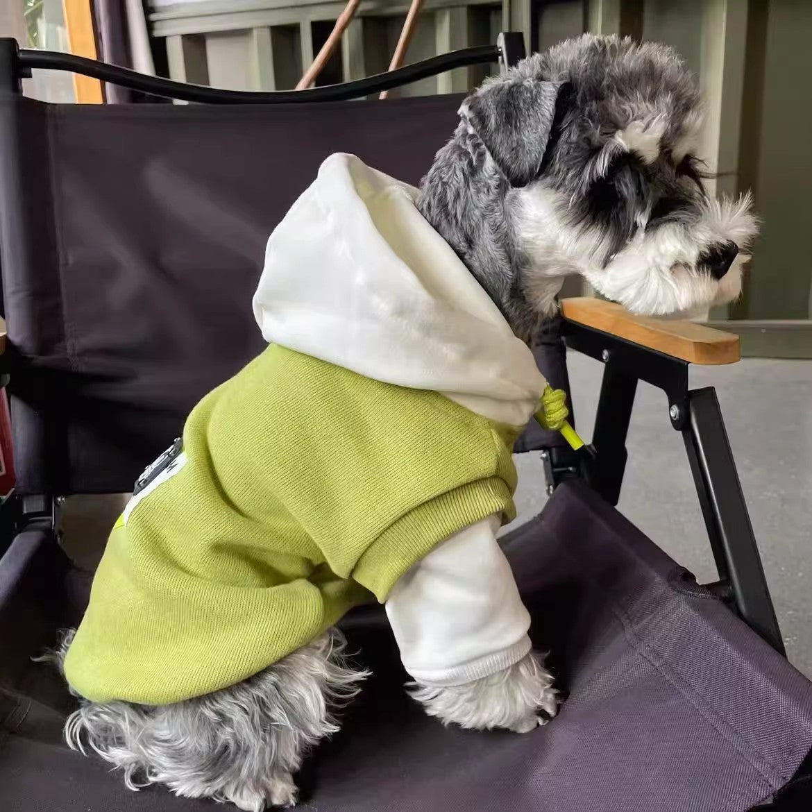 Pet Product - Premium Pet Accessory