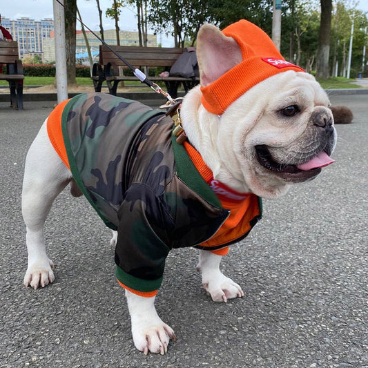 pet-clothing-trendy-br-street-dog-clos-fighting-teddy-schnauzer-bottom-coat-hat-set-luxury-view-2 | Majestic Pet Kingdom