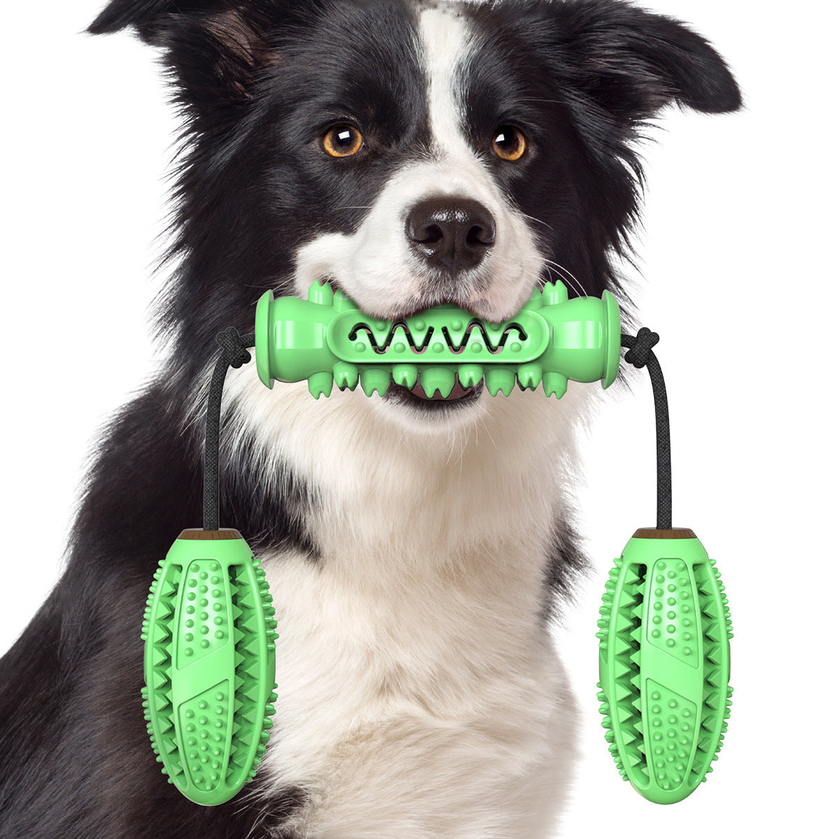 Dog Chew Toy Durable Rubber Stick Dental Teeth Cleaning Bone - Detail Angle 6 | Majestic Pet Kingdom