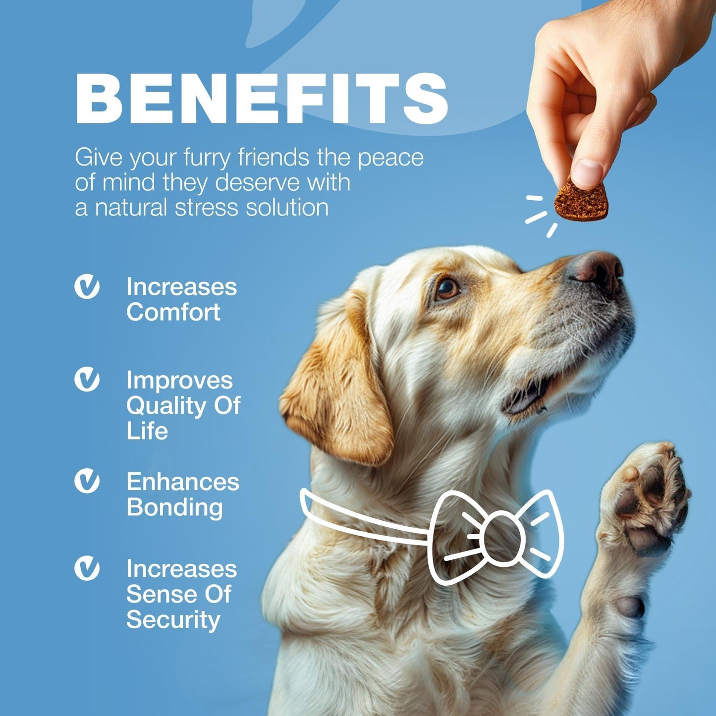Dog Calming Chews Anxiety Relief Melatonin Valerian Supplement - Detail Angle 7 | Majestic Pet Kingdom